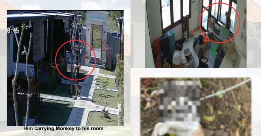 Dirakam CCTV Curi Anak Kucing Peliharaan Resort, Bekas Jururawat Didakwa Cekik Kucing Itu Hingga Maut