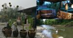 'Escape' Kesibukan Bandar, Nikmati Ketenangan Di Penot Borneo Jungle Stay Puncak Borneo