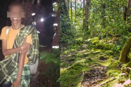 Lari Ke Hutan Akibat Tekanan Kerja, Bomba Selamatkan Lelaki Ini Setelah Minta Bantuan 6 Hari Kemudian