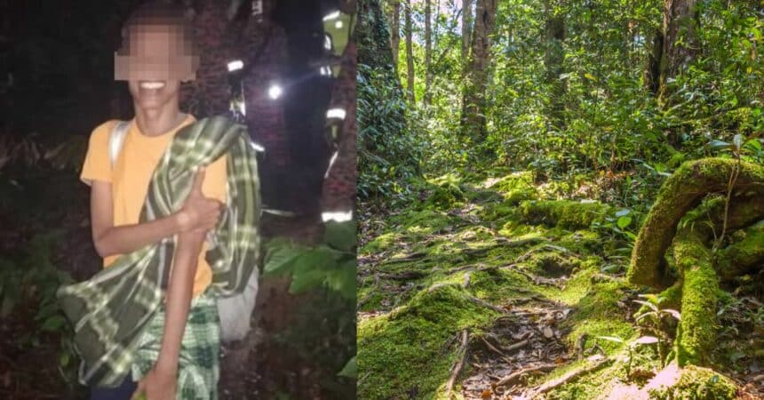 Lari Ke Hutan Akibat Tekanan Kerja, Bomba Selamatkan Lelaki Ini Setelah Minta Bantuan 6 Hari Kemudian