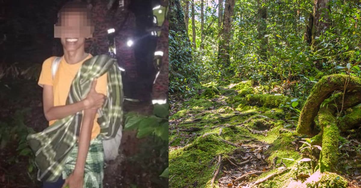 Lari Ke Hutan Akibat Tekanan Kerja, Bomba Selamatkan Lelaki Ini Setelah Minta Bantuan 6 Hari Kemudian