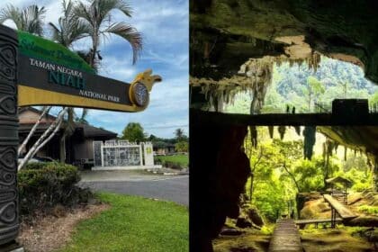Miliki 'Nilai Alam' Yang Luar Biasa, Taman Negara Niah Kini Tercalon Sebagai Tapak Warisan Dunia Unesco