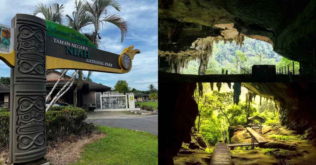 Miliki 'Nilai Alam' Yang Luar Biasa, Taman Negara Niah Kini Tercalon Sebagai Tapak Warisan Dunia Unesco