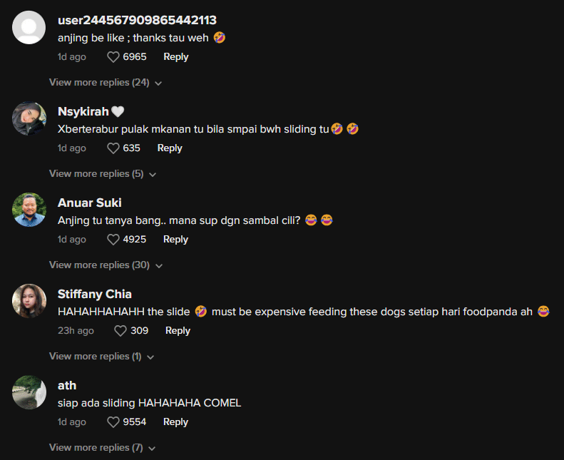 Siap Ada Gelongsor, Abang Foodpanda Di Miri Bagi Makan Anjing Peliharaan Buat Netizen Terhibur
