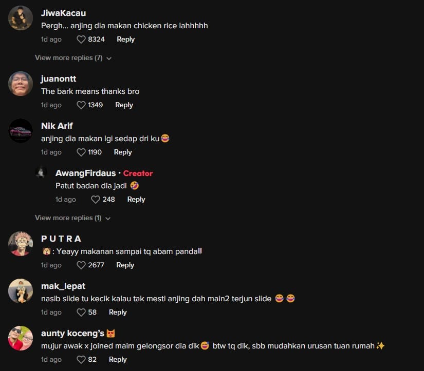 Siap Ada Gelongsor, Abang Foodpanda Di Miri Bagi Makan Anjing Peliharaan Buat Netizen Terhibur