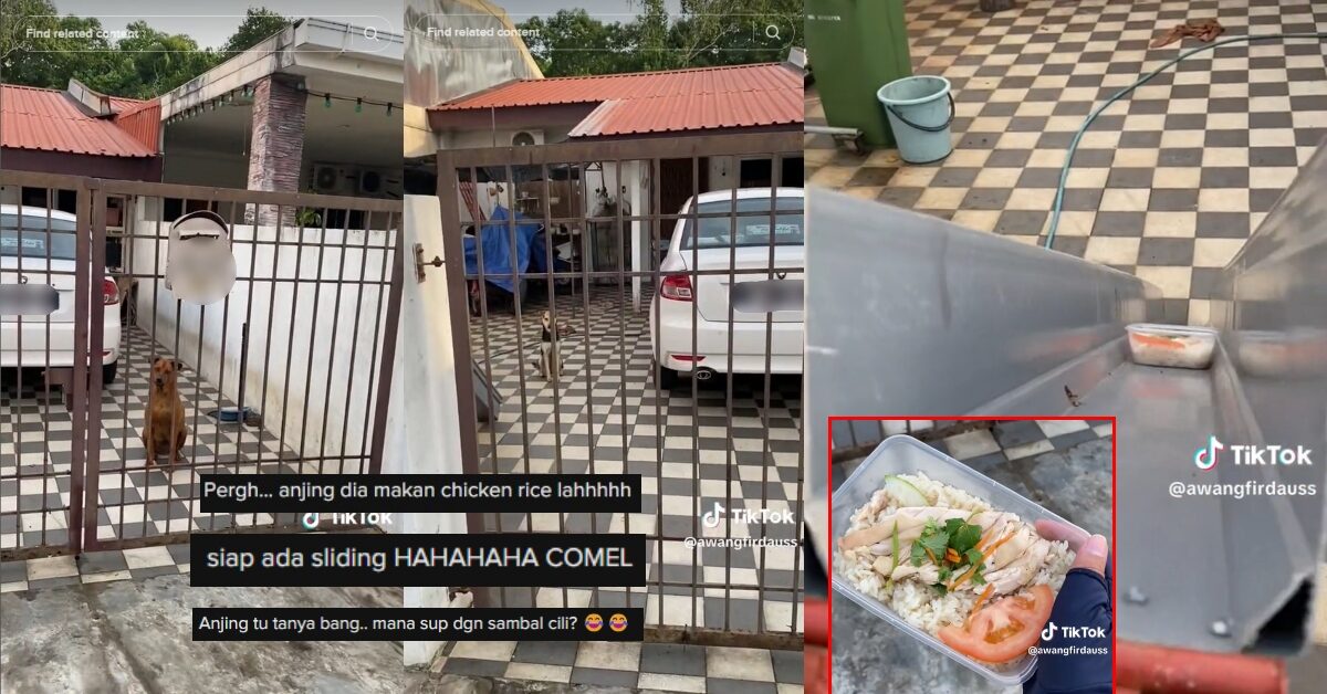 Siap Ada Gelongsor, Abang Foodpanda Di Miri Bagi Makan Anjing Peliharaan Buat Netizen Terhibur