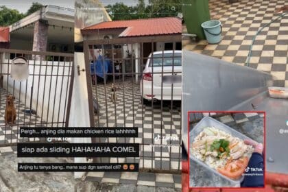 Siap Ada Gelongsor, Abang Foodpanda Di Miri Bagi Makan Anjing Peliharaan Buat Netizen Terhibur