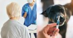 Tak Cukup Staf, Warga Emas Berang 'Ditolak' Terima Rawatan Rabies Di Pusat Kesihatan Sarawak