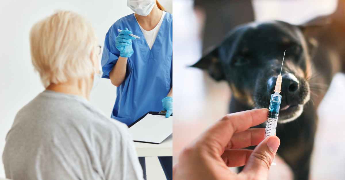 Tak Cukup Staf, Warga Emas Berang 'Ditolak' Terima Rawatan Rabies Di Pusat Kesihatan Sarawak
