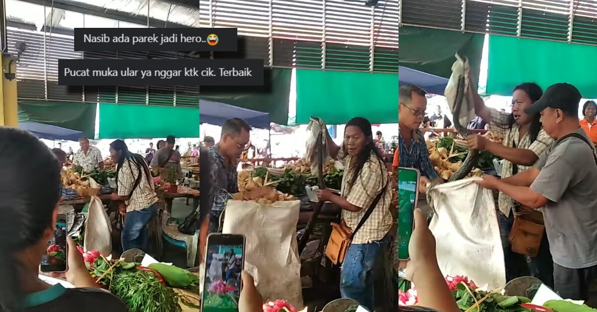 'Tok Baruknya Hero', Aksi Individu Ini Selamba Tangkap Ular Di Pasar Sarikei Raih Perhatian Netizen