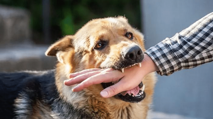 Tak Cukup Staf, Warga Emas Berang 'Ditolak' Terima Rawatan Rabies Di Pusat Kesihatan Sarawak