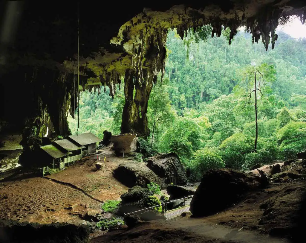 Miliki 'Nilai Alam' Yang Luar Biasa, Taman Negara Niah Kini Tercalon Sebagai Tapak Warisan Dunia Unesco