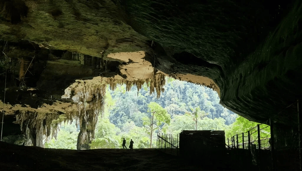 Miliki 'Nilai Alam' Yang Luar Biasa, Taman Negara Niah Kini Tercalon Sebagai Tapak Warisan Dunia Unesco