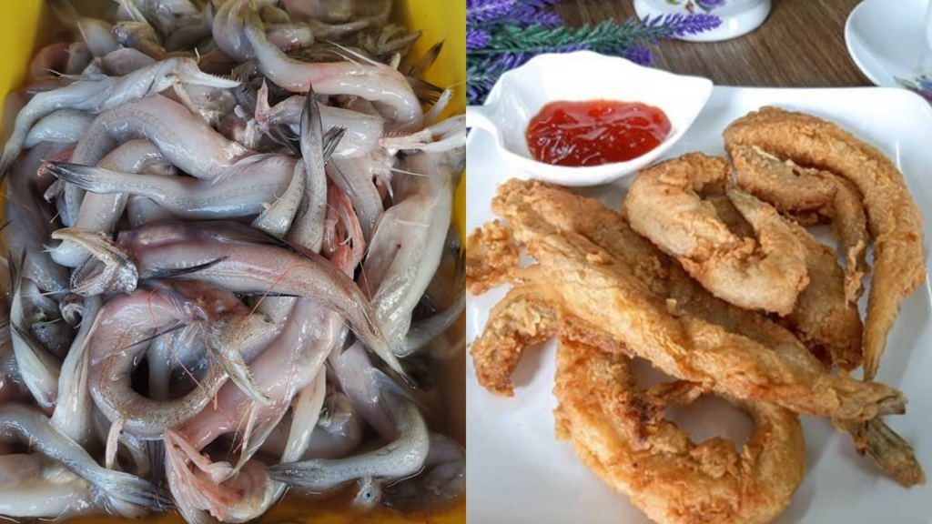 Hidangan 'Lumek' Goreng Rangup Jadi Sajian Istimewa Di Restoran Kawah Jalan Satok