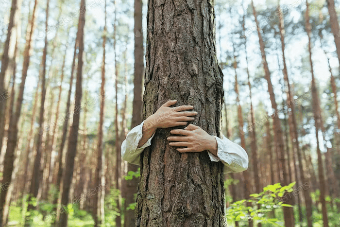 Wanita Dakwa Peluk Pokok Boleh Hilangkan Tekanan, Kurangkan Stress