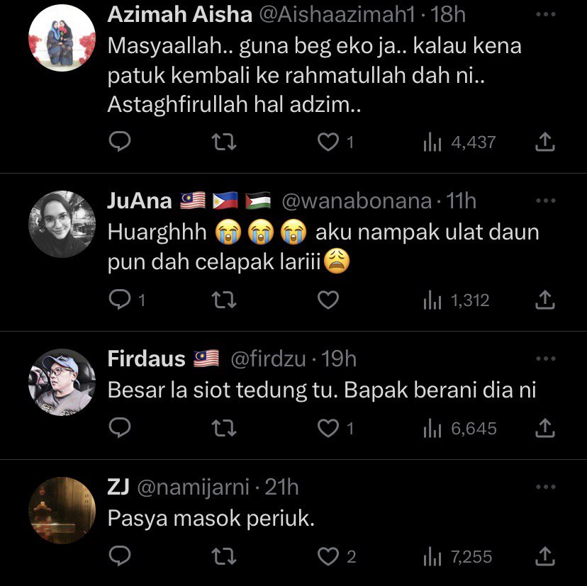 'Guna Beg Ecoshop', Netizen Terkejut Lihat Video Orang Sarawak Selamba Tangkap Ular Tedung Di Tepi Jalan Ini