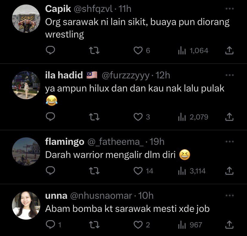 'Guna Beg Ecoshop', Netizen Terkejut Lihat Video Orang Sarawak Selamba Tangkap Ular Tedung Di Tepi Jalan Ini