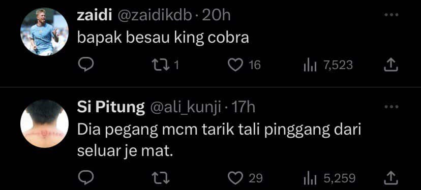 'Guna Beg Ecoshop', Netizen Terkejut Lihat Video Orang Sarawak Selamba Tangkap Ular Tedung Di Tepi Jalan Ini
