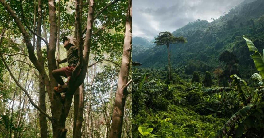 Bertengkar Dengan Adik, Kanak-Kanak 11 Tahun Merajuk Lari Ke Hutan Ditemui Selamat Di Sabah