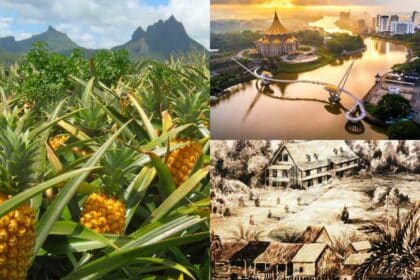 Dinamakan Sempena Sejenis Nanas, Ini Kisah Menarik Disebalik Asal-Usul Nama Negeri Sarawak