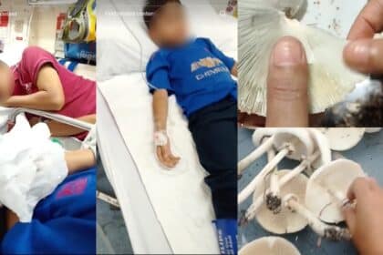 Masak Cendawan Dikutip Di Halaman Rumah Untuk Konten, Satu Keluarga Dikejarkan Ke Hospital