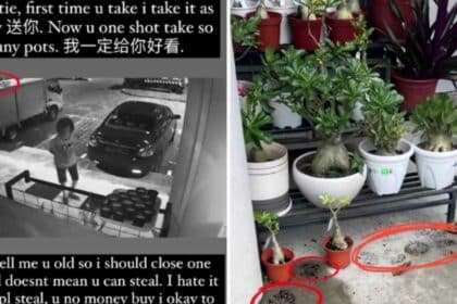 Wanita Warga Emas Suka Curi Pasu Bunga Pagi Buta 'Kantoi' Dirakam CCTV