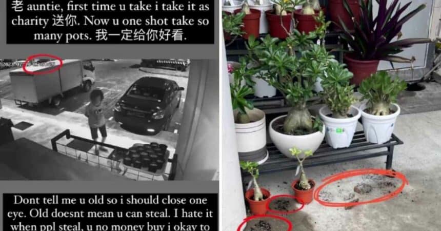 Wanita Warga Emas Suka Curi Pasu Bunga Pagi Buta 'Kantoi' Dirakam CCTV