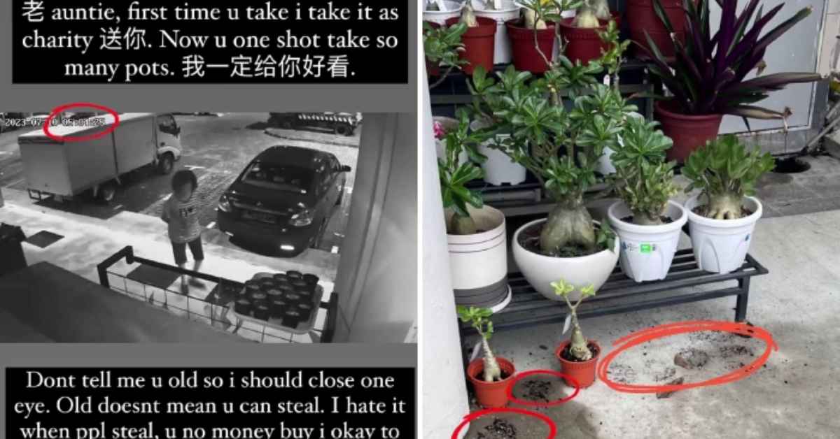 Wanita Warga Emas Suka Curi Pasu Bunga Pagi Buta 'Kantoi' Dirakam CCTV