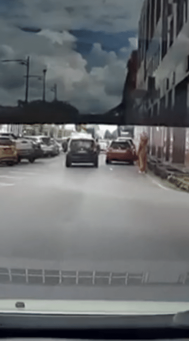 Selamba Baling Botol Pada Maskot, Warga Kuching 'Sekolahkan' Pemandu King Myvi Ini