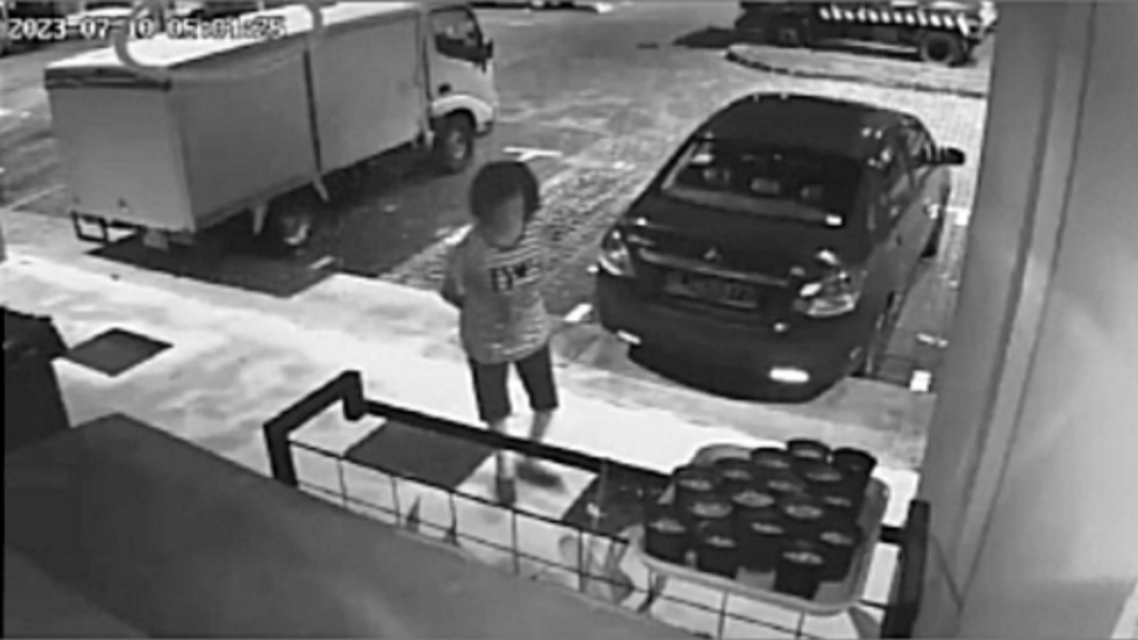 Wanita Warga Emas Suka Curi Pasu Bunga Pagi Buta 'Kantoi' Dirakam CCTV