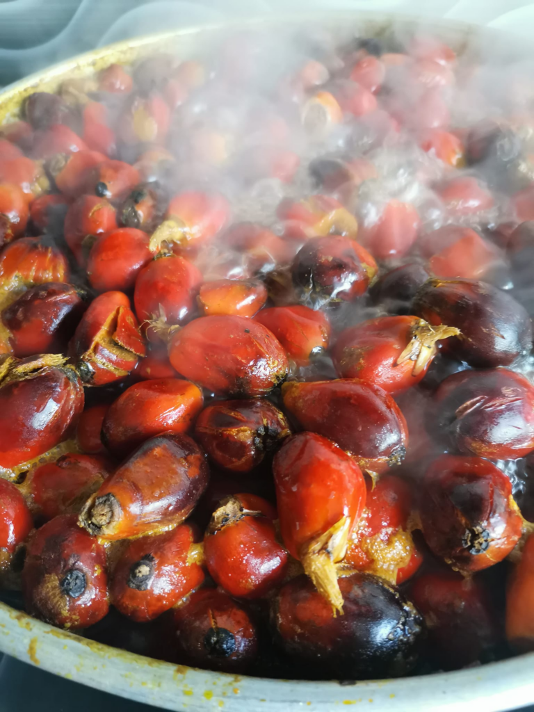 Sajian Khas 'Orang Lama', Ini Resipi Kuih Bingka Biji Kelapa Sawit Yang Unik Dan Sedap
