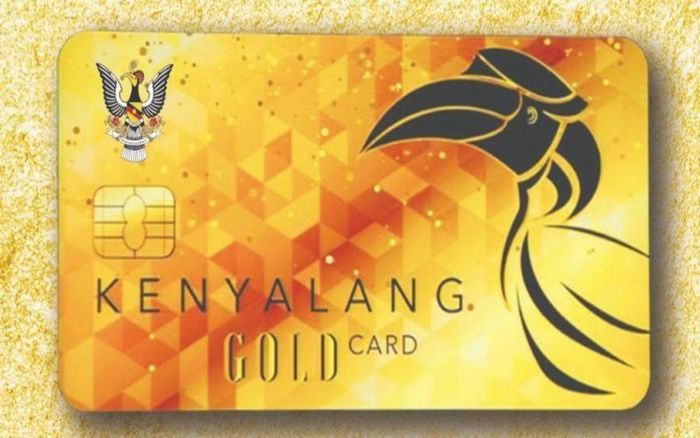 Abang Johari: Kenyalang Gold Card Tanggung Kos Pemeriksaan Kesihatan Rakyat