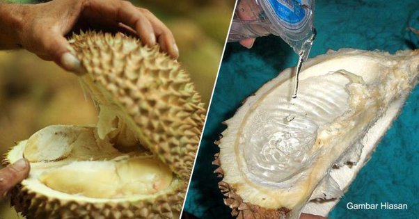 Ini Bukti Saintifik Mengapa Petua Minum Air Dari Kulit Durian Boleh Elak Panas Badan