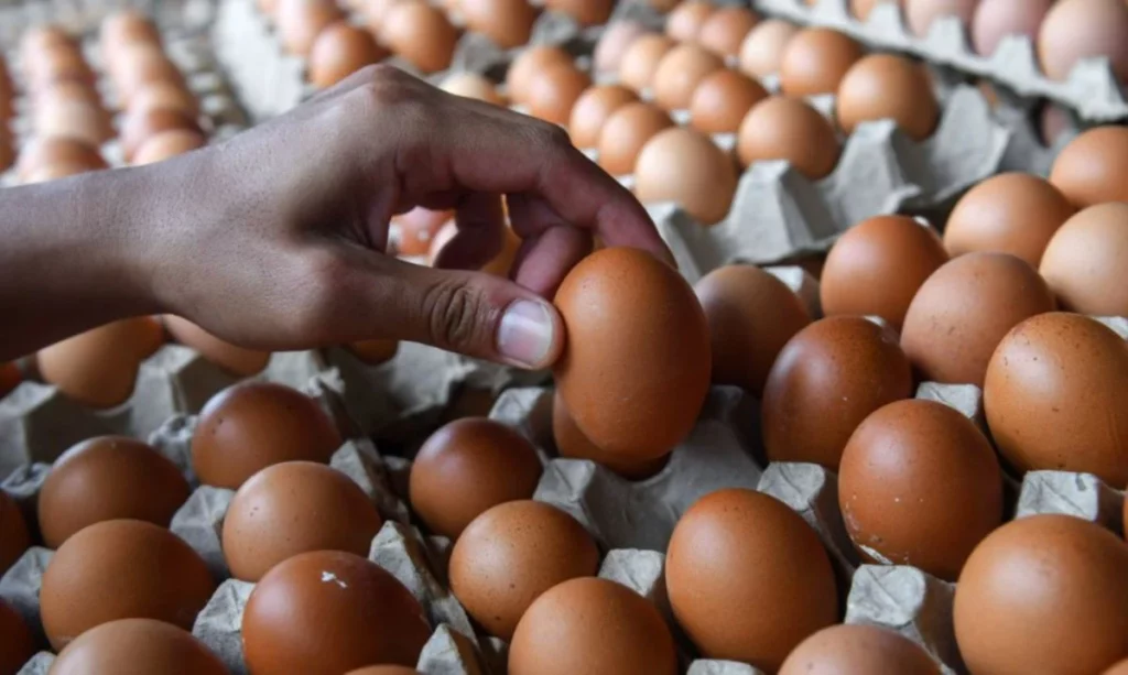 Pakar: Trend Ibu Bapa Buat 'Egg Prank', Ancam Kesihatan Anak