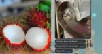 Kanak-Kanak 9 Tahun Temui Ajal Gara-Gara Tercekik Rambutan