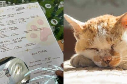 Kenakan Bayaran Lebih RM3K, Syarikat Dikecam Tawar Servis Kebumi Kucing ‘Cara Islam’