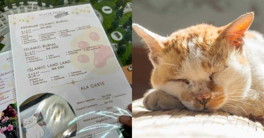Kenakan Bayaran Lebih RM3K, Syarikat Dikecam Tawar Servis Kebumi Kucing ‘Cara Islam’