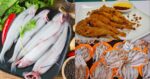 Keunikan Ikan Lumi, 'Alien' Dari Laut Dengan Rasa 5 Bintang