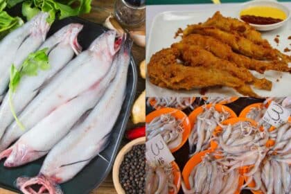 Keunikan Ikan Lumi, 'Alien' Dari Laut Dengan Rasa 5 Bintang
