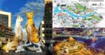 MBKS Bakal Realisasikan Kuching Sebagai 'Smart City' Menjelang 5 Tahun Akan Datang