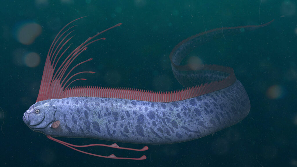 Muncul Ikan Naga Laut Petanda Bakal Ada Tsunami Dan Gempa Bumi Hanyalah Mitos, Ini Kajian Penyelidik
