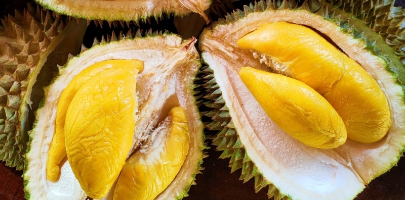 Pemandu Bas Pitam, Hidu Bau Durian Dibawa Penumpang