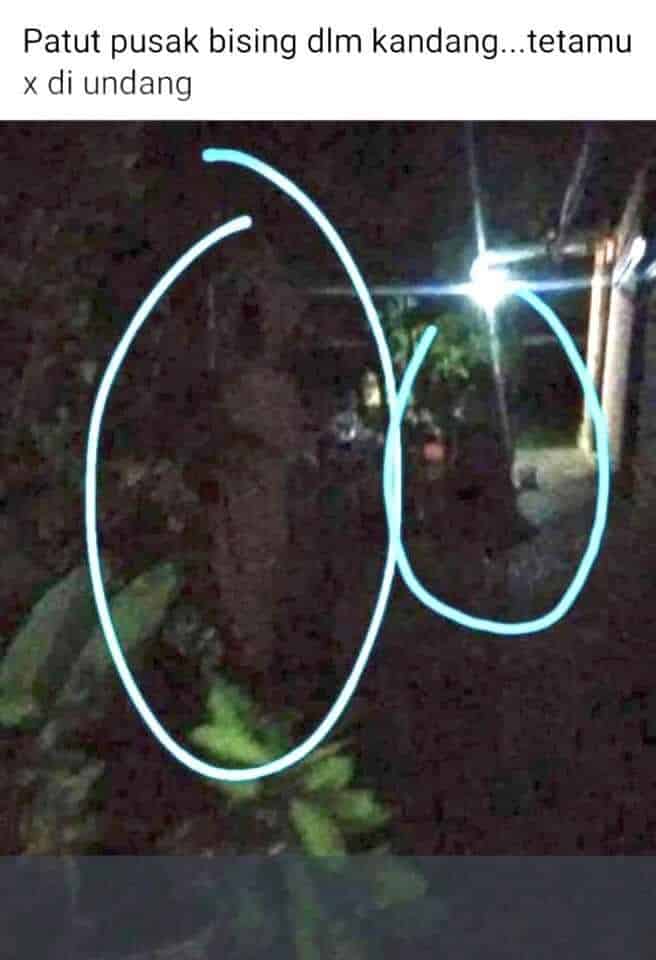 Siap Ketuk Tingkap, Individu Ini Kongsi Lihat Lembaga 'Berbungkus' Sempat Dirakam Di Kuching