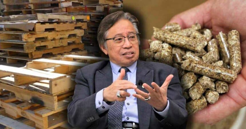 Abang Jo Sarawak Cadang Pelet Kayu Sebagai Potensi Sumber Tenaga Boleh Baharu
