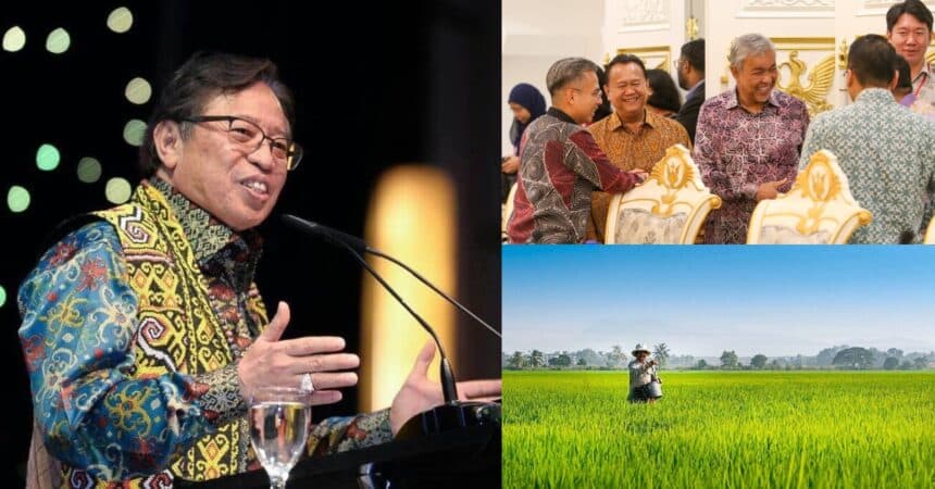Cadang Tanam Padi Sebesar 50K Hektar, Abang Jo Bagi Green Light Kenal Pasti Kawasan Di Sarawak