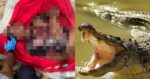 Hasrat Tangkap Ketam Berakhir Tragedi, Lelaki Maut Dibaham Buaya Di Sabah