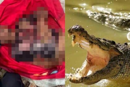 Hasrat Tangkap Ketam Berakhir Tragedi, Lelaki Maut Dibaham Buaya Di Sabah