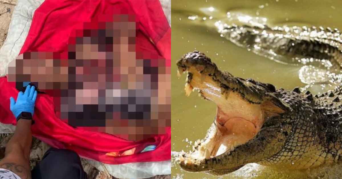 Hasrat Tangkap Ketam Berakhir Tragedi, Lelaki Maut Dibaham Buaya Di Sabah