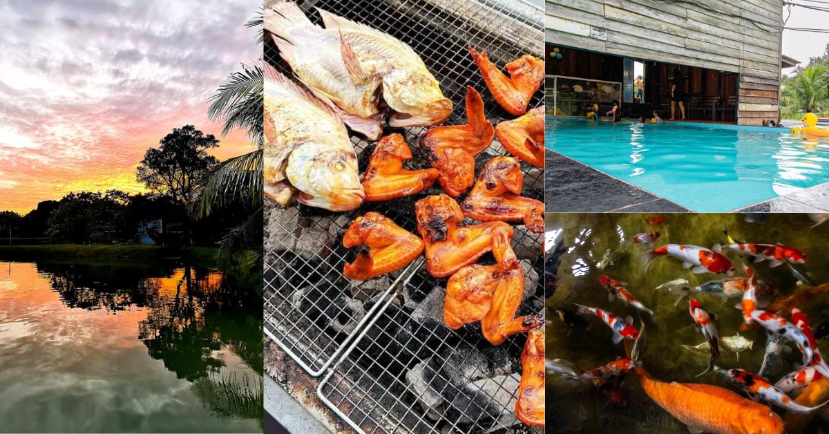 Hidden Gem Menarik Di Kuching, Bing Koi Farm Ini Jadi Destinasi Sesuai