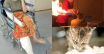 Niat Masak Makanan Kucing Bertukar Tragedi, Wanita Hamil 7 Bulan Melecur Disambar Api